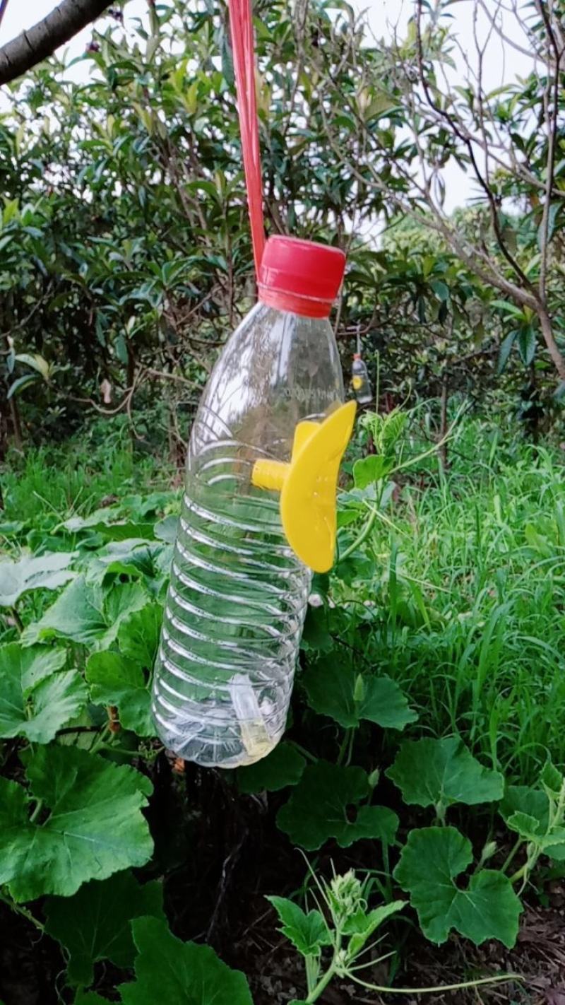 果蝇诱捕器配件实蝇诱捕器果蝇入口万蝇迷诱捕入口