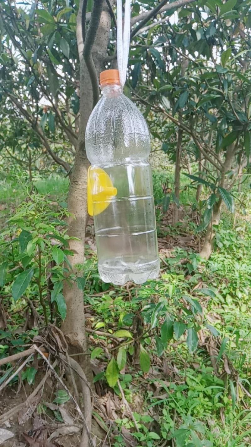 果蝇诱捕器配件实蝇诱捕器果蝇入口万蝇迷诱捕入口