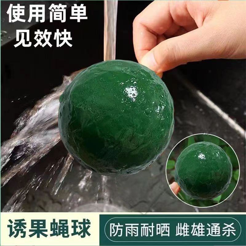 灭蚊球粘蝇球苍蝇贴粘虫板粘虫球果实蝇诱捕器果园防虫神器诱