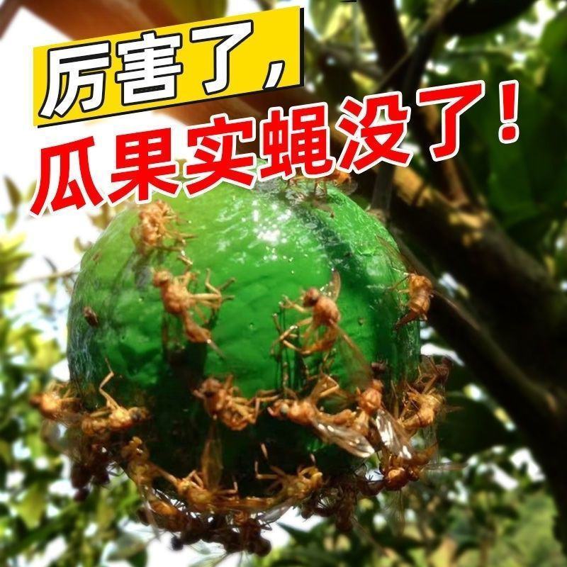 灭蚊球粘蝇球苍蝇贴粘虫板粘虫球果实蝇诱捕器果园防虫神器诱