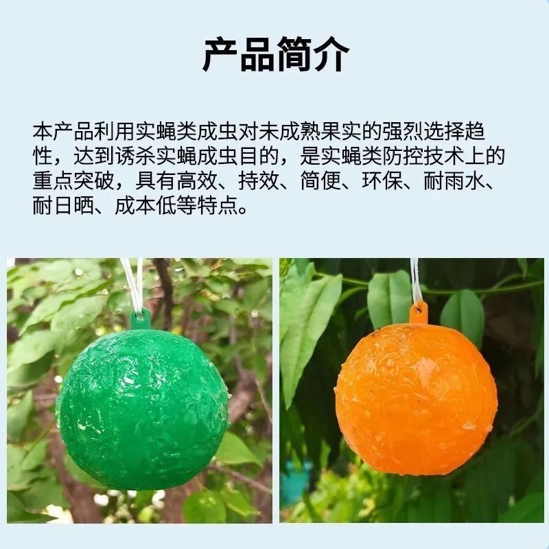灭蚊球粘蝇球苍蝇贴粘虫板粘虫球果实蝇诱捕器果园防虫神器诱