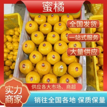 蜜桔柑桔大分四号皮薄多汁对接电商商超全国发货