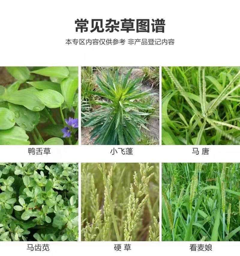 10斤精草铵膦铵盐高浓度除草剂果园荒地牛筋草小飞蓬专用