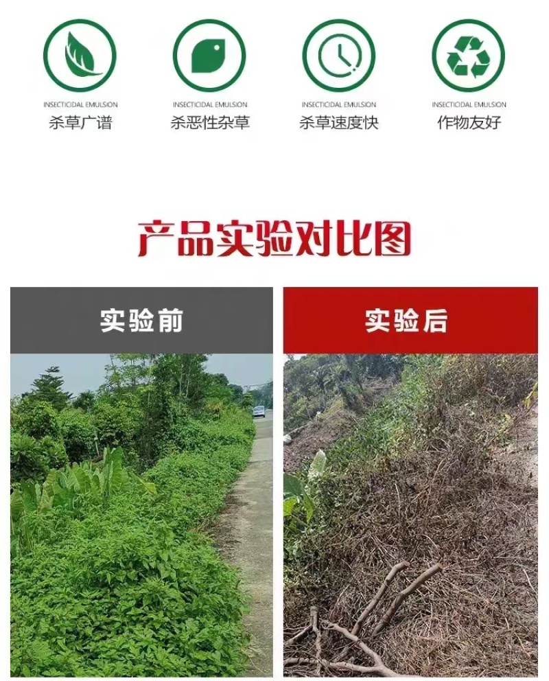 10斤精草铵膦铵盐高浓度除草剂果园荒地牛筋草小飞蓬专用