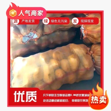 甘肃定西陇薯土豆，货源充足！大量有货！！