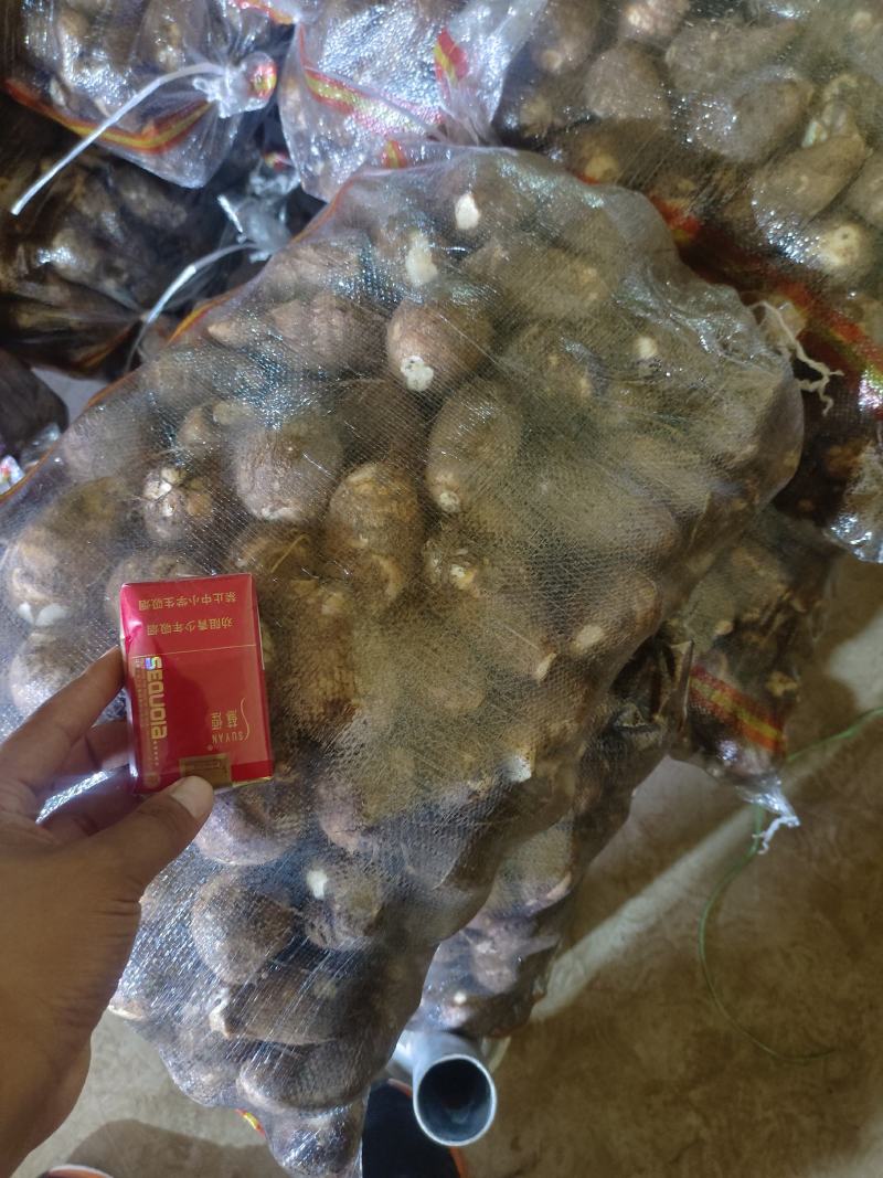 【优选】新鲜芋头软糯香甜芋头8520产地直发欢迎订购