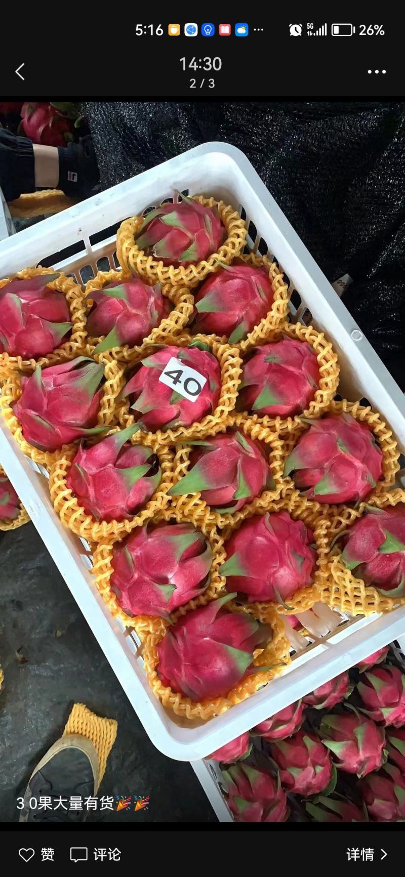 【芭乐】白心现卖现摘万亩种植基地品质保障欢迎采购