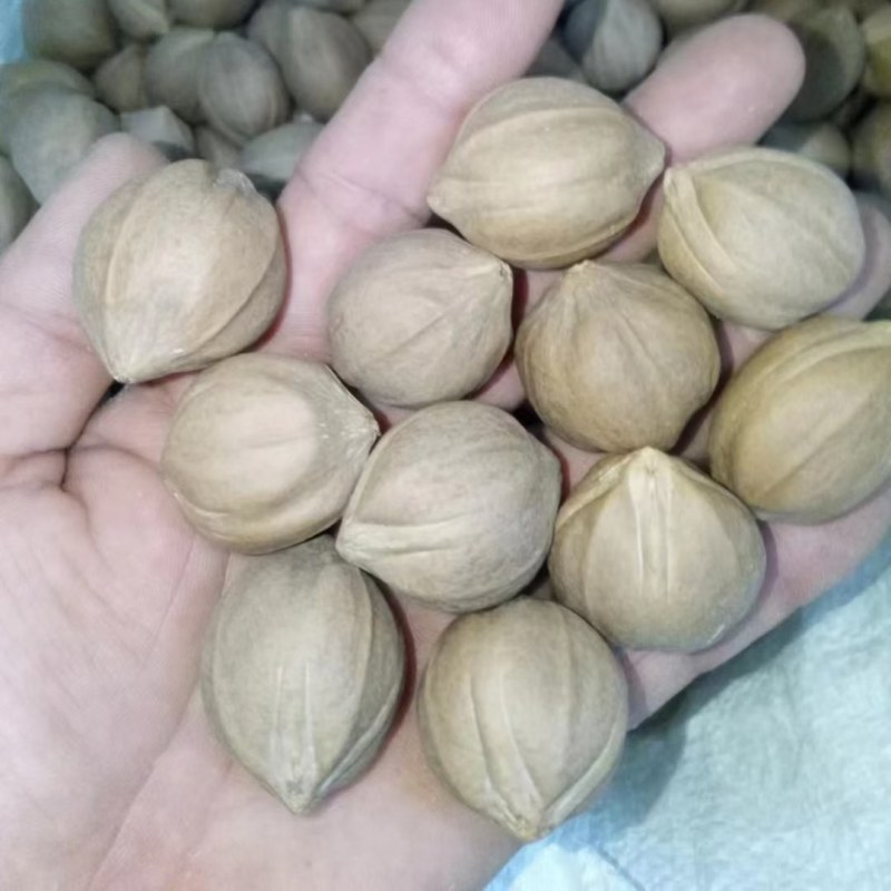 正宗德庆高品质工艺榄核