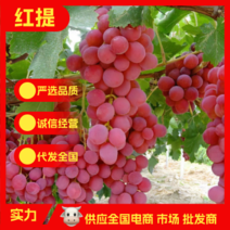 产地直供红提，红提葡萄水果美国红提进口5斤装