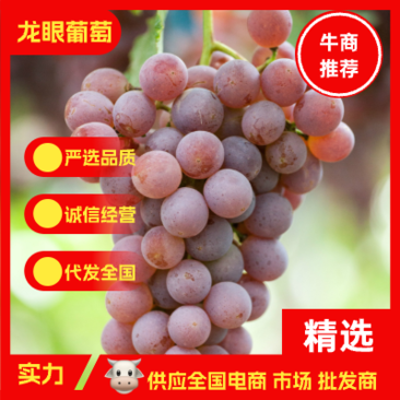 产地直供龙眼葡萄天然种植水果5斤10斤装一件代发