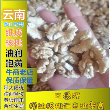 云南老树核桃仁手工剥壳核桃仁，手工挑选尖白核桃仁