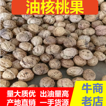 核桃榨油核桃云南榨油核桃果十吨起批量大价格从优。