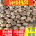 核桃榨油核桃云南榨油核桃果十吨起批量大价格从优。