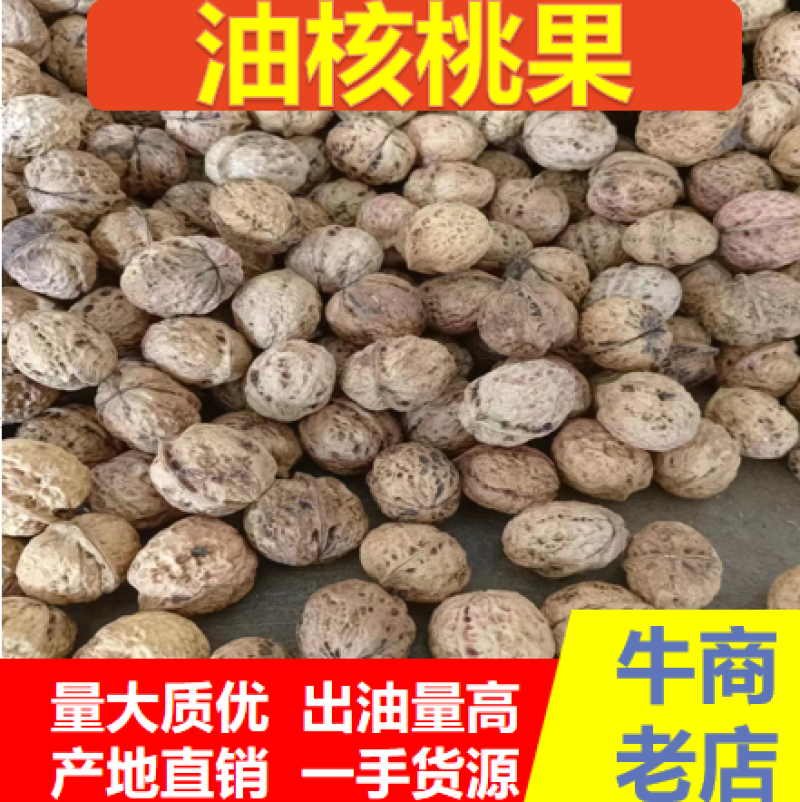 核桃榨油核桃云南榨油核桃果十吨起批量大价格从优。