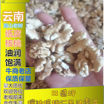 云南核桃仁，尖白核桃仁果肉肥，量大价格从优。