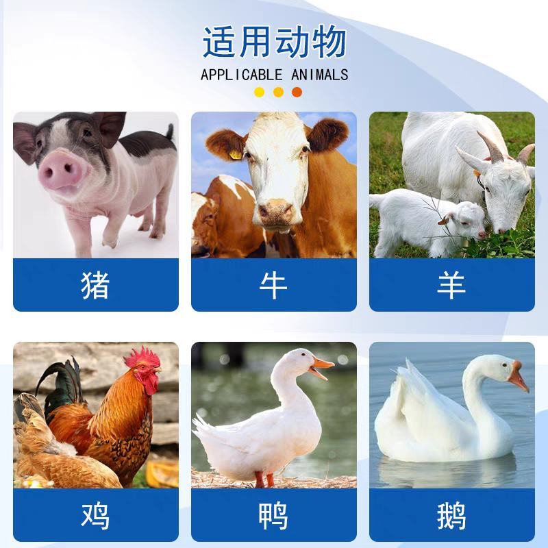 普旺兽用杨树花口服液畜禽立停仔猪小猪牛羊