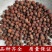 南阳野生小山楂小山楂豆天然山楂无污染新货量大