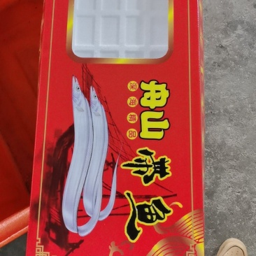舟山带鱼