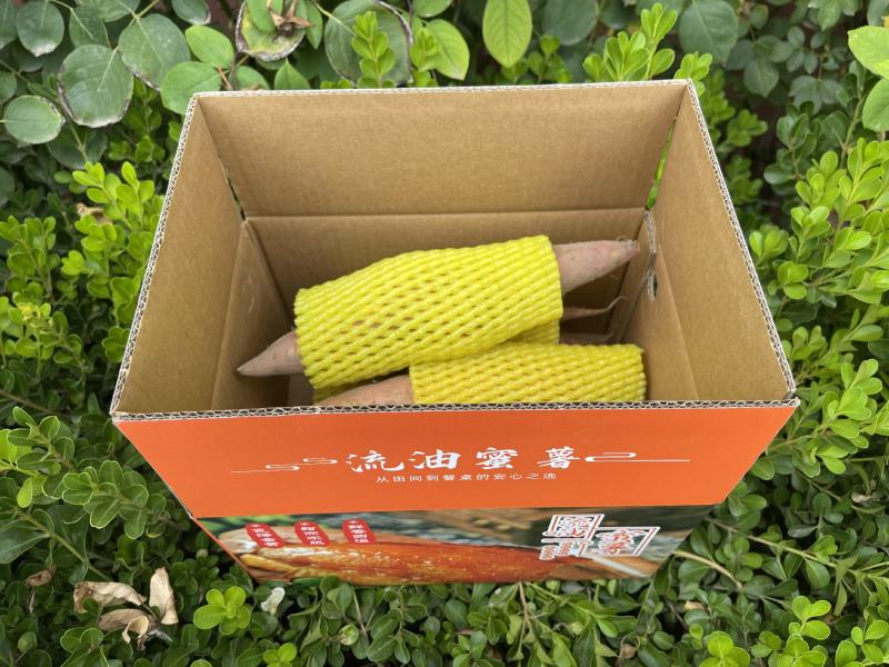 正宗烟薯25一件代发沙地蜜薯香甜流蜜对接电商私域电商平台