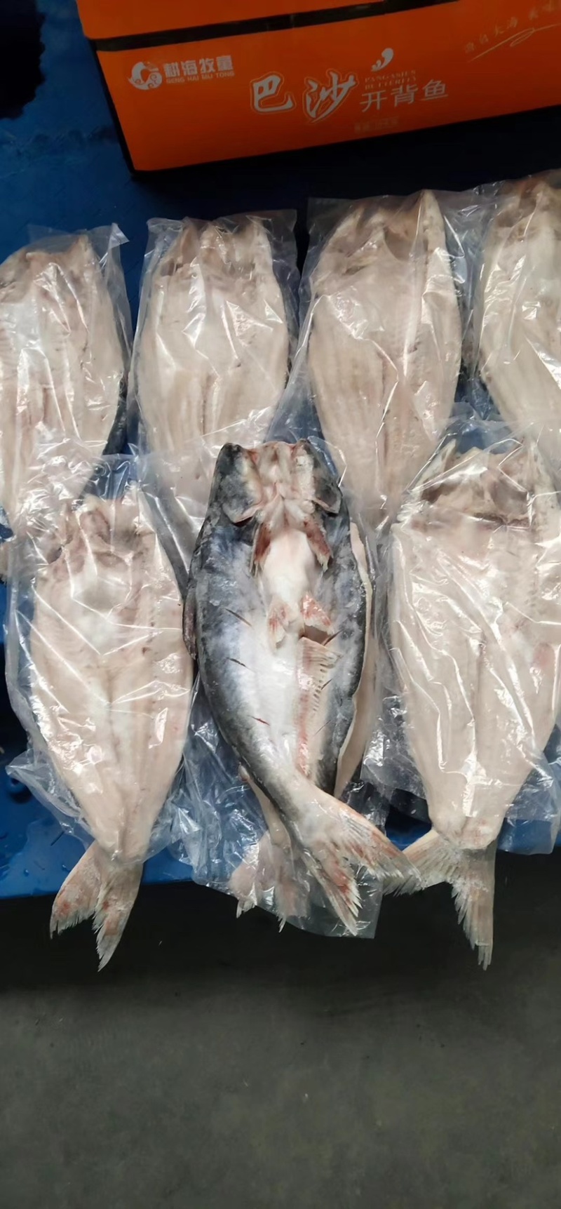 开背巴沙鱼湄公鱼烤鱼食材烤鱼纸包鱼商用开背鱼