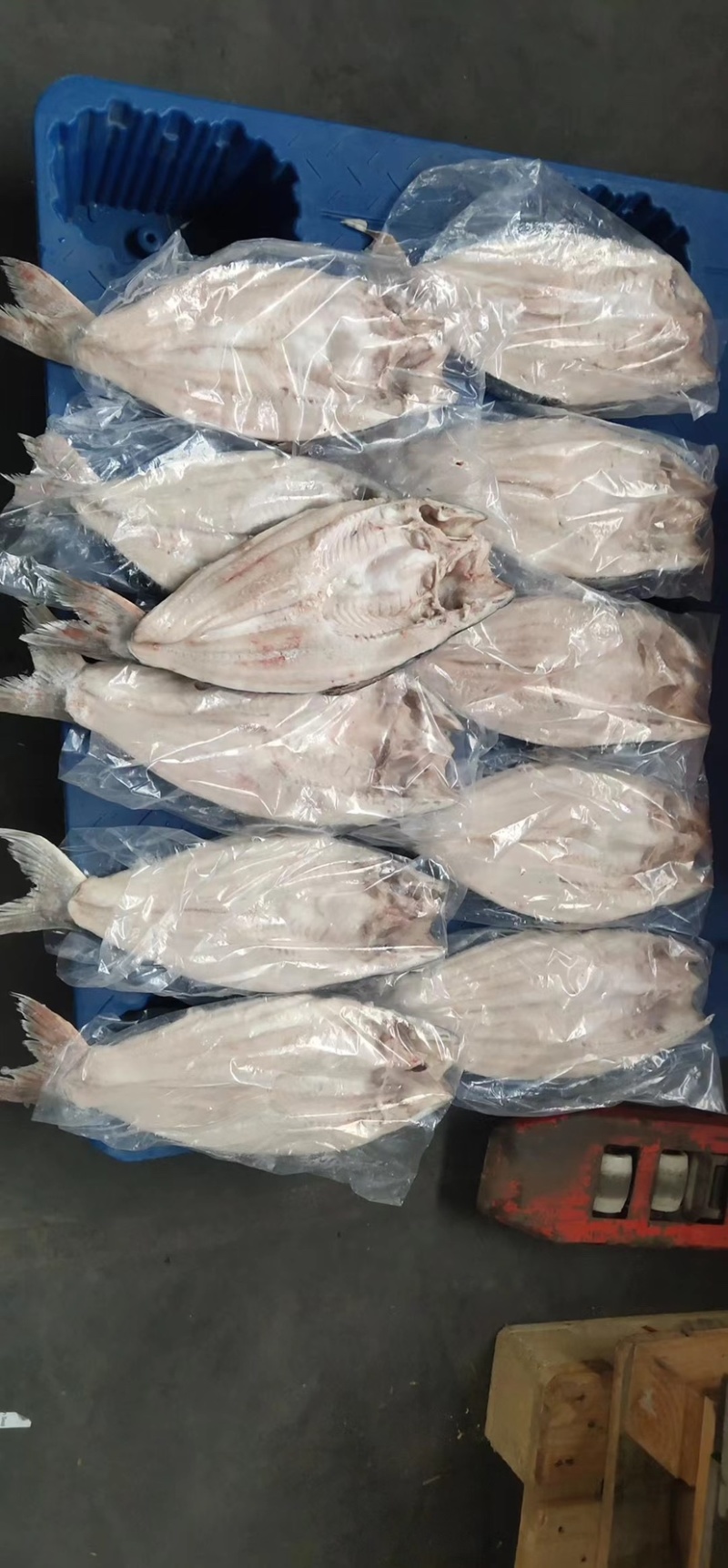 开背巴沙鱼湄公鱼烤鱼食材烤鱼纸包鱼商用开背鱼
