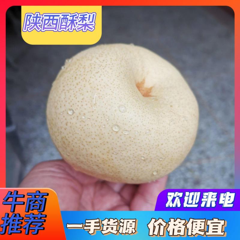 酥梨砀山酥梨产地直销价格便宜商超品质市场商超档口电商
