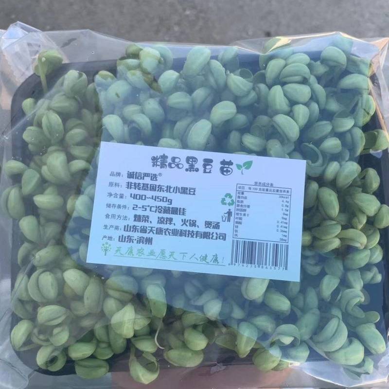 精品黑豆苗超市电商团购