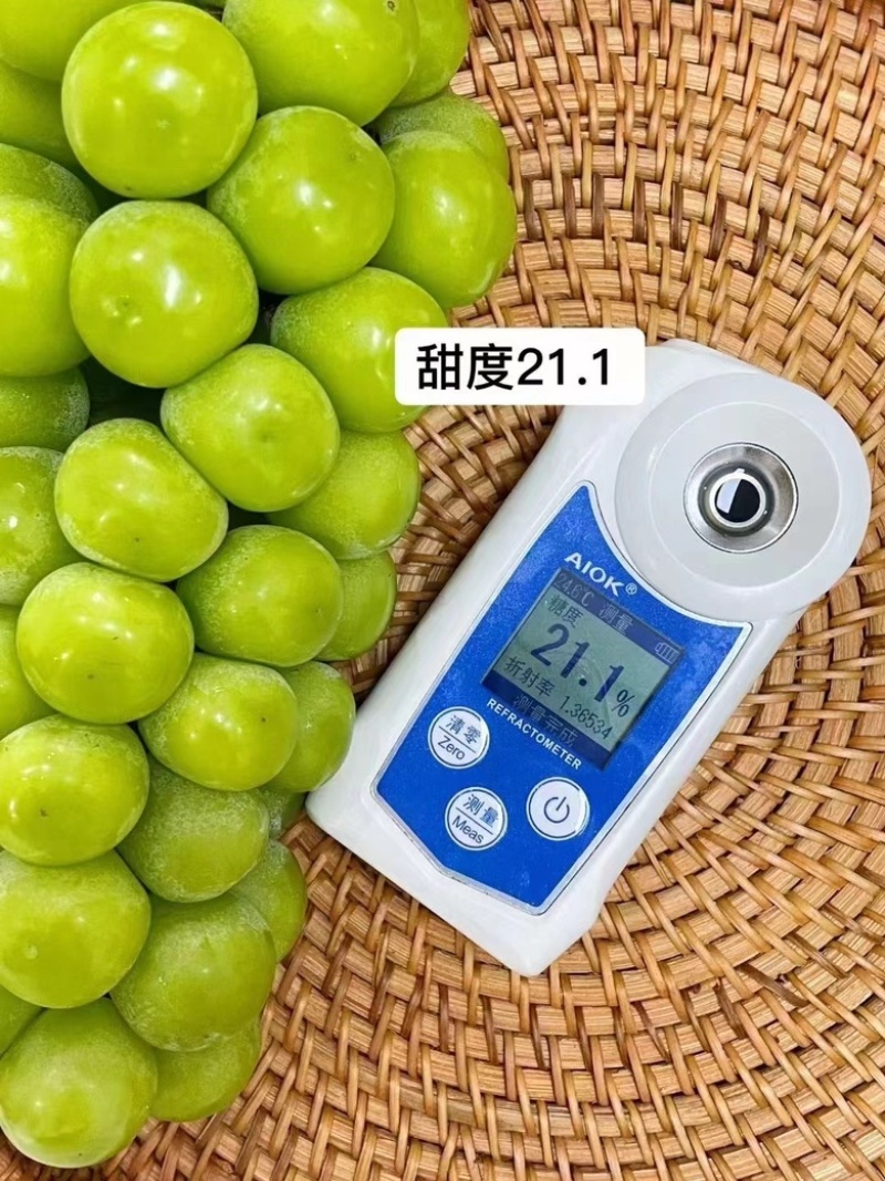 精品晴王阳光玫瑰葡萄一级果大量有货