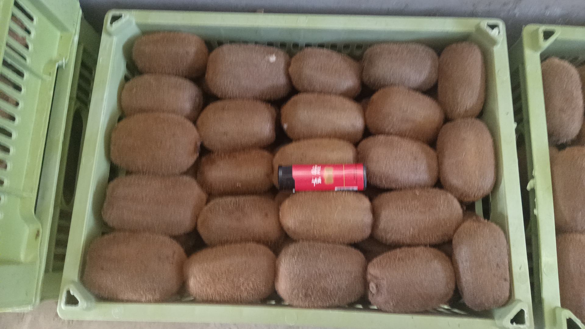 国产与进口猕猴桃市场占有率与价格对比柱状图