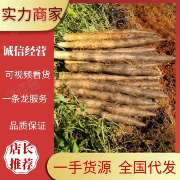 黑鬼淮山药广西产地直发大量上市对接全国电商档口市场商超