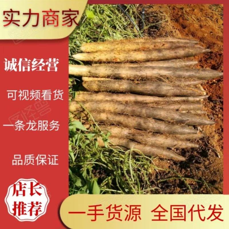 黑鬼淮山药广西产地直发大量上市对接全国电商档口市场商超