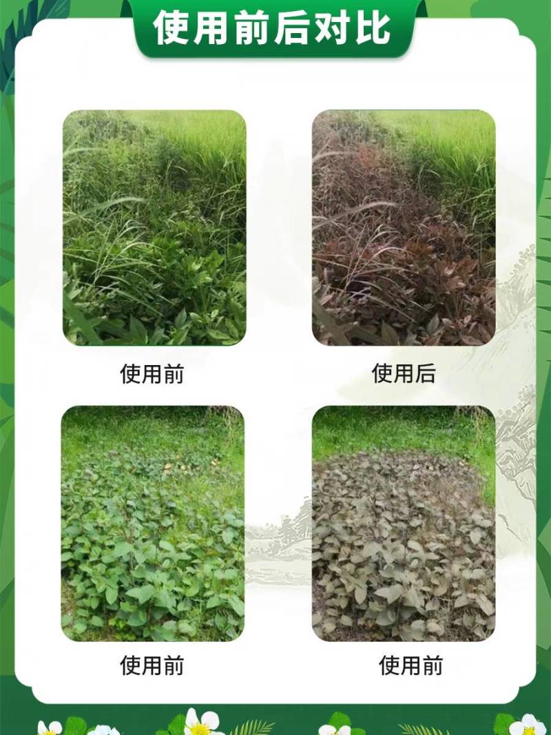 树荣耕锄10%精草铵膦铵盐非耕地杂草除草剂农药