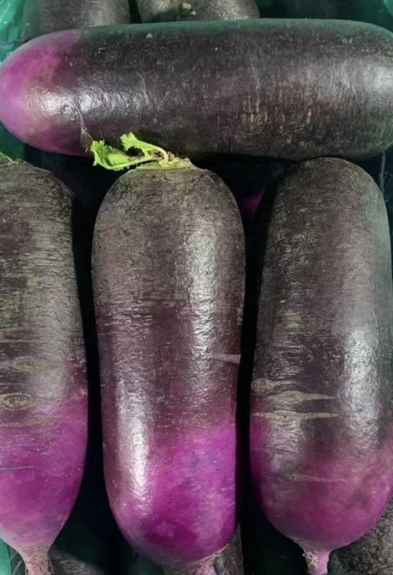 冰激凌萝卜，三色冰激凌萝卜，富硒花青素冰激凌萝卜产地直发