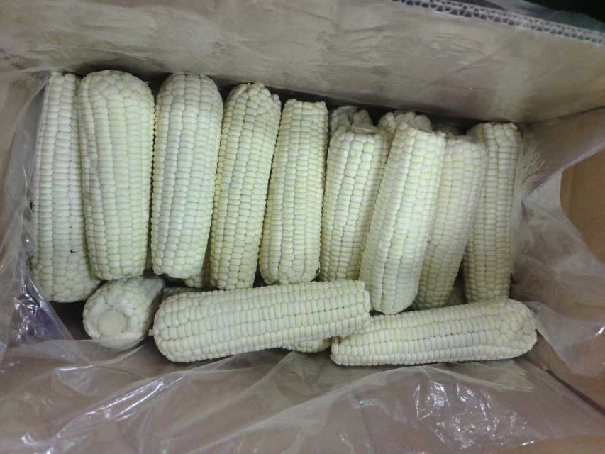市场摊位上的各类糯玉米展示