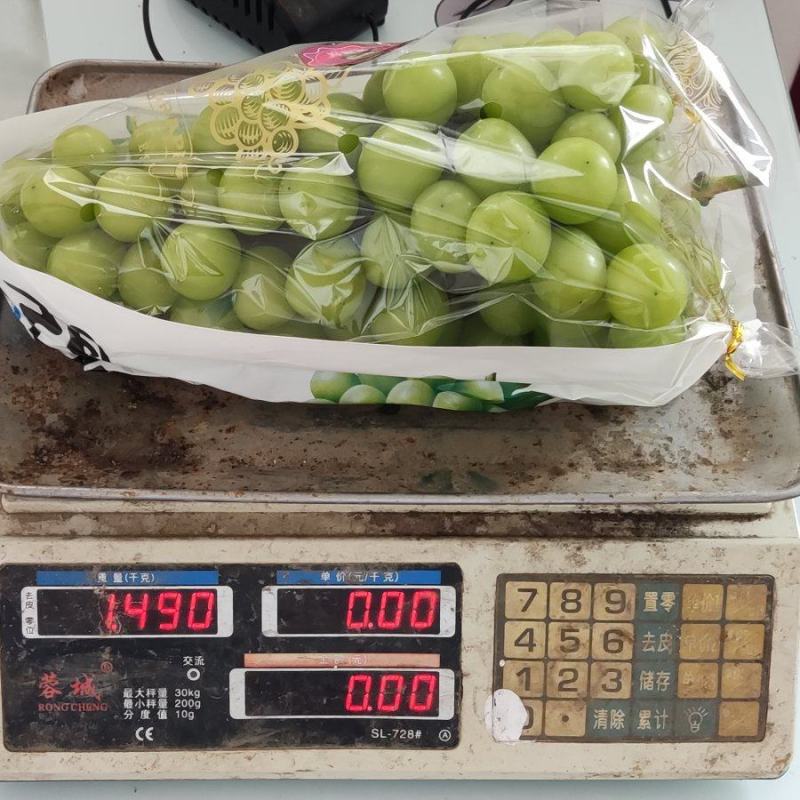 河南驻马店阳光玫瑰大量上市了以质论价视频看货欢迎电联