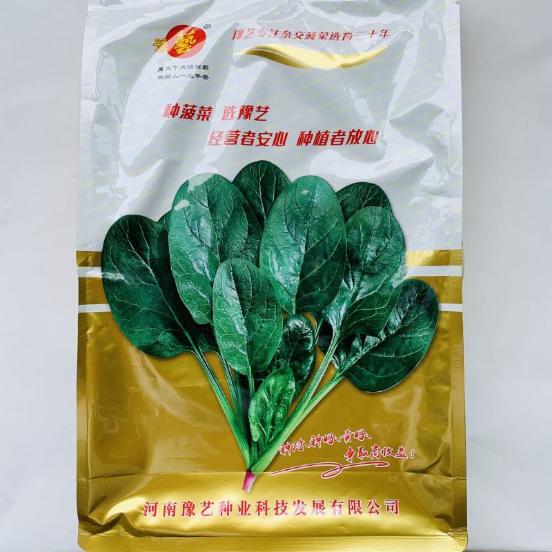 豫艺小籽菠菜种子m32圆叶菠菜籽半直立叶色黑绿菠菜种籽