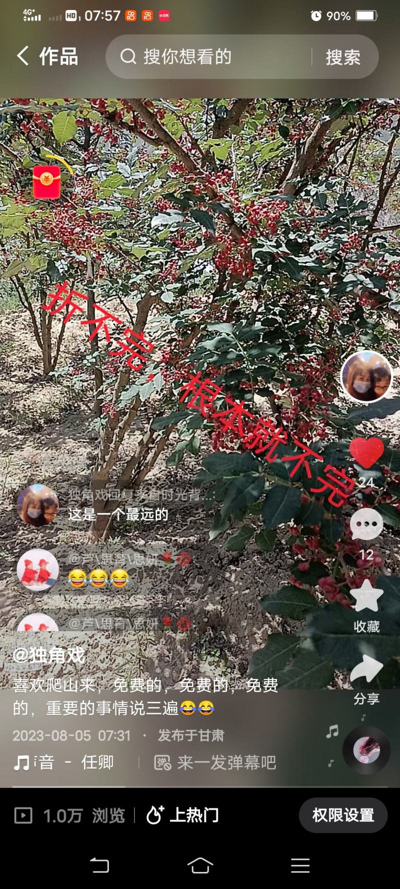 陇南大红袍花椒