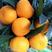 蜜桔，高山精品蜜橘，小叶桔，产地果农一手货源，诚信代办