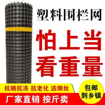 包邮养殖网塑料围栏网家禽漏粪网果园围网栅栏养鸡鸭鹅玉米网