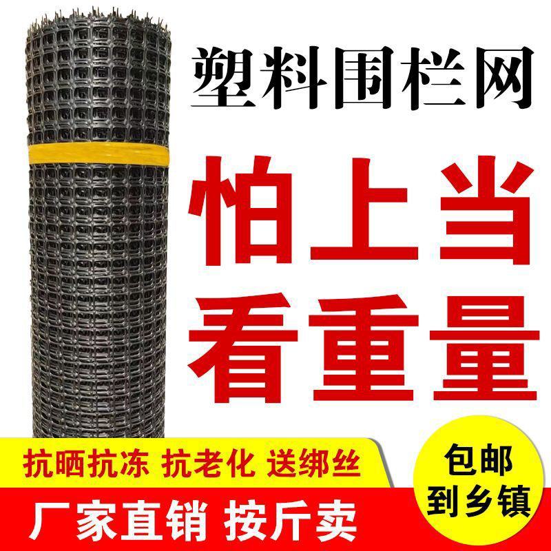 包邮养殖网塑料围栏网家禽漏粪网果园围网栅栏养鸡鸭鹅玉米网