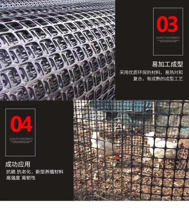 包邮养殖网塑料围栏网家禽漏粪网果园围网栅栏养鸡鸭鹅玉米网