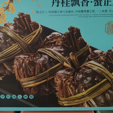 江苏兴化市兴化大闸蟹红膏大闸蟹精品全母10只装各种规格