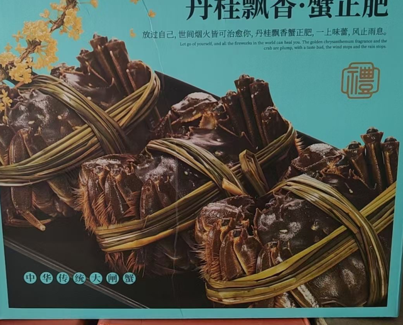 江苏兴化市兴化大闸蟹红膏大闸蟹精品全母10只装各种规格
