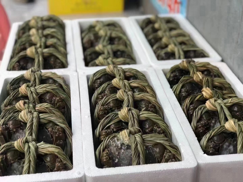 江苏兴化市兴化大闸蟹红膏大闸蟹精品全母10只装各种规格