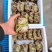 江苏兴化市兴化大闸蟹红膏大闸蟹精品全母10只装各种规格