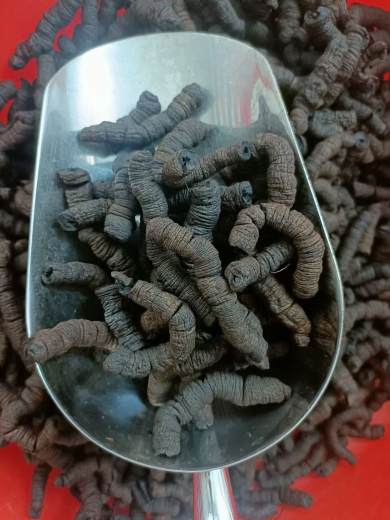 巴戟天鸡肠凤抽芯优质无硫煲汤泡酒中药材