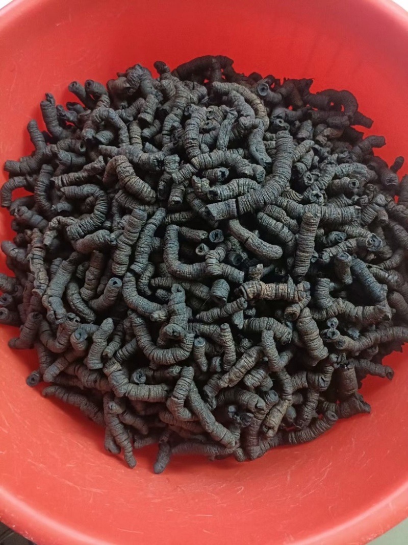 巴戟天鸡肠凤抽芯优质无硫煲汤泡酒中药材