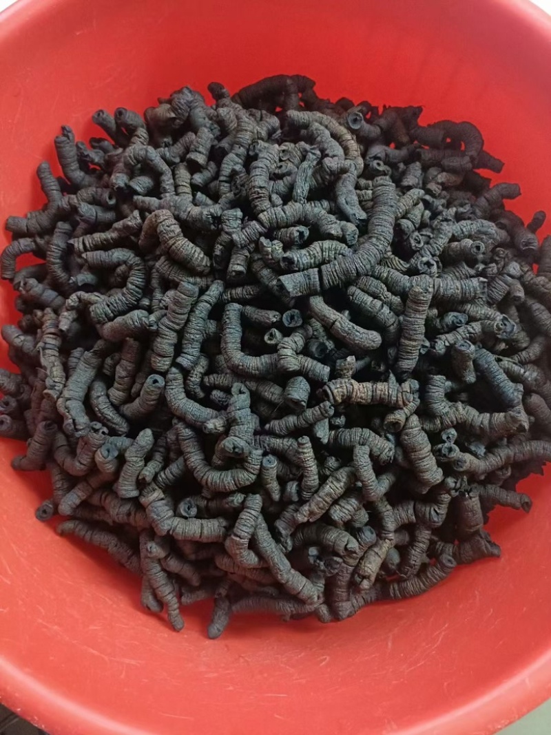巴戟天鸡肠凤抽芯优质无硫煲汤泡酒中药材