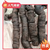 巴戟天鸡肠凤抽芯优质无硫煲汤泡酒中药材