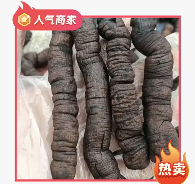 巴戟天鸡肠凤抽芯优质无硫煲汤泡酒中药材